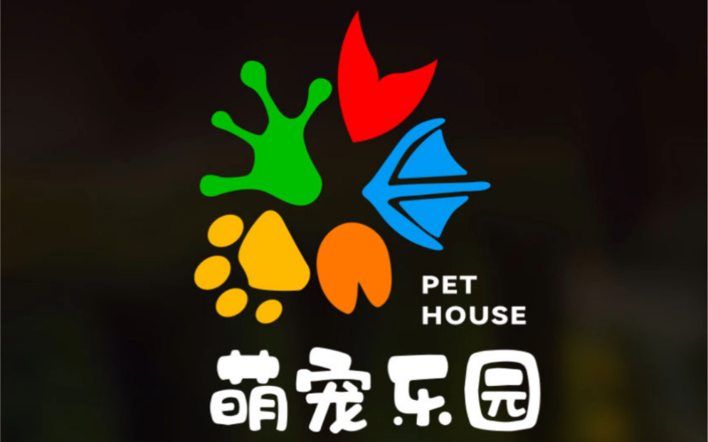 logo设计这个属于宠物店啦哔哩哔哩bilibili