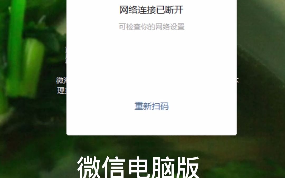 微信电脑版网络连接已断开刷不出二维码怎么办哔哩哔哩bilibili