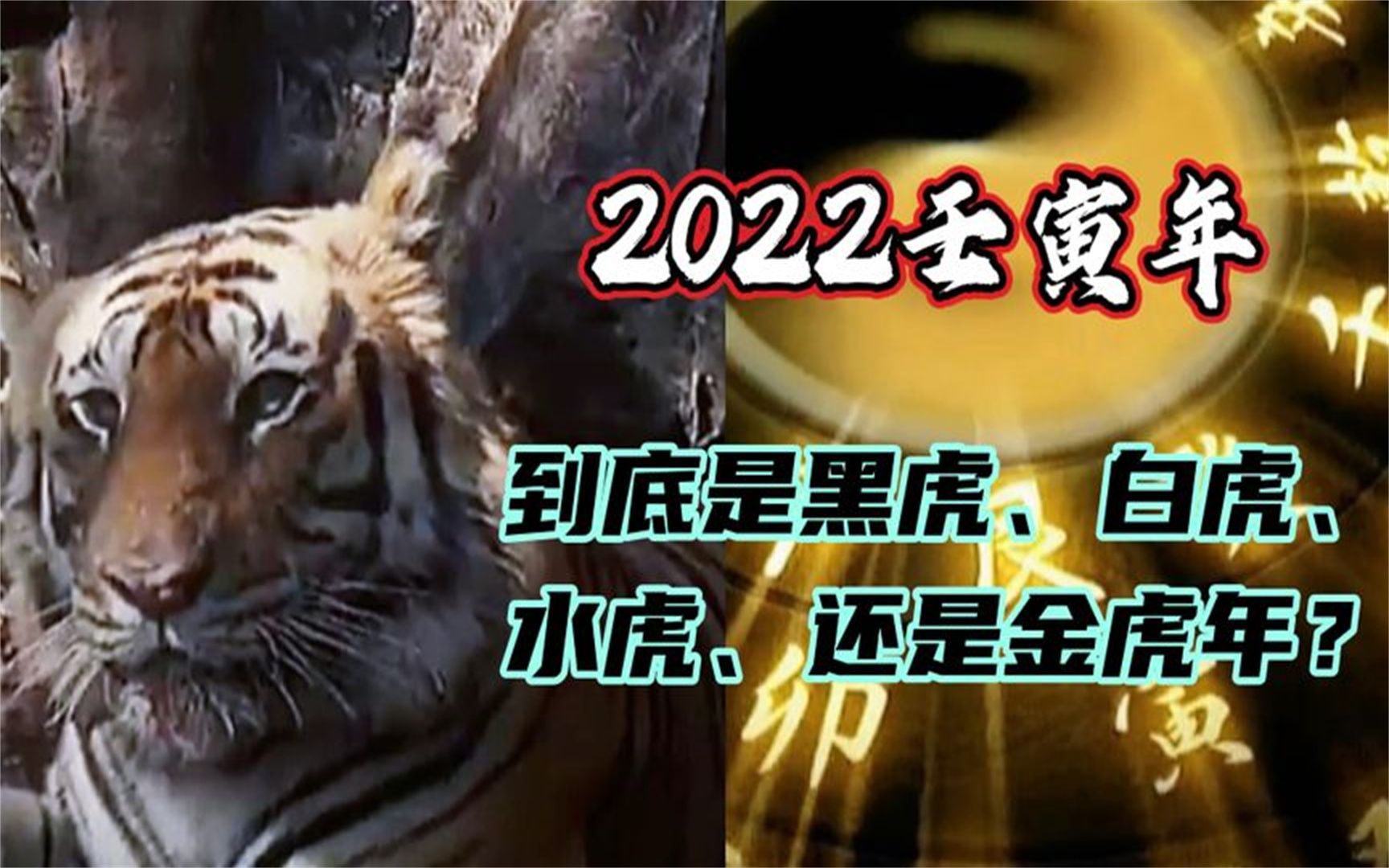 2022壬寅年 到底是黑虎年、白虎年、水虎年、还是金虎年?哔哩哔哩bilibili