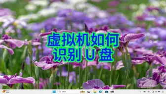 如何解决 VirtualBox 虚拟机无法识别 U 盘难题