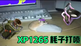 [艾斯阿鲁录像]耗子画不出_2023-08-08直播录像