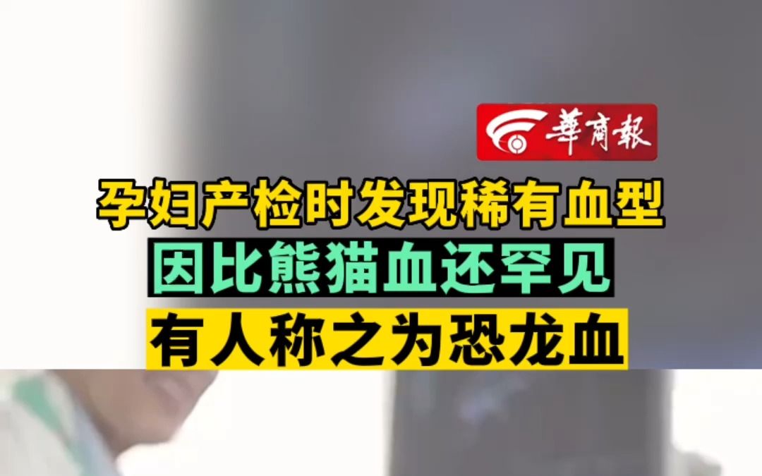 广东一孕妇产检时发现稀有血型 因比熊猫血还罕见 有人称之为恐龙血哔哩哔哩bilibili