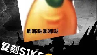 尝试复刻S1KE