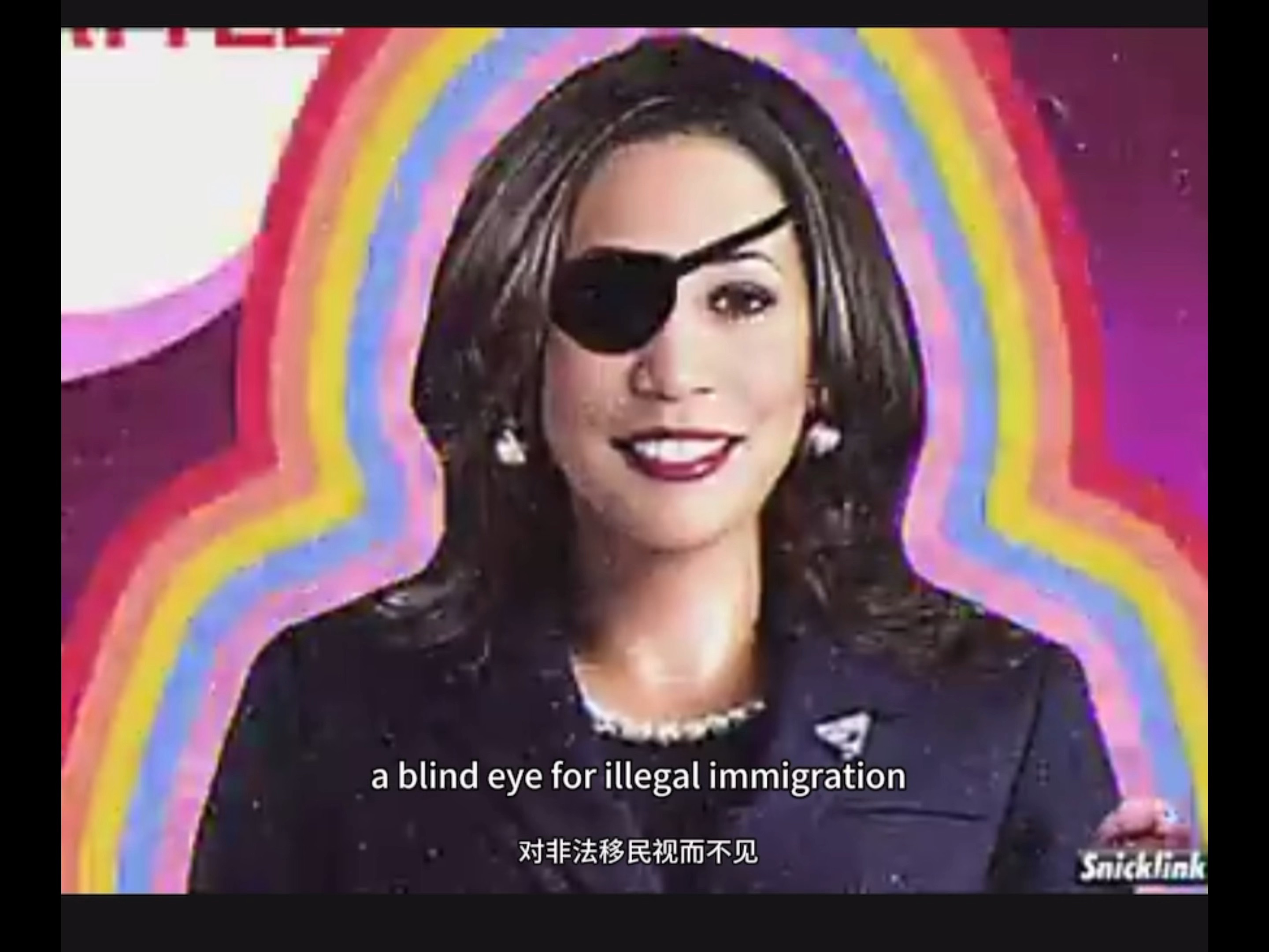 网友又做了一个搞笑视频嘲讽美国总统候选人哈里斯目前施政政策.hhh