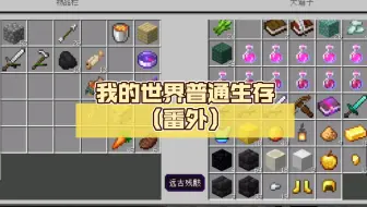 我的世界普通生存（番外）关于找到的一些宝藏