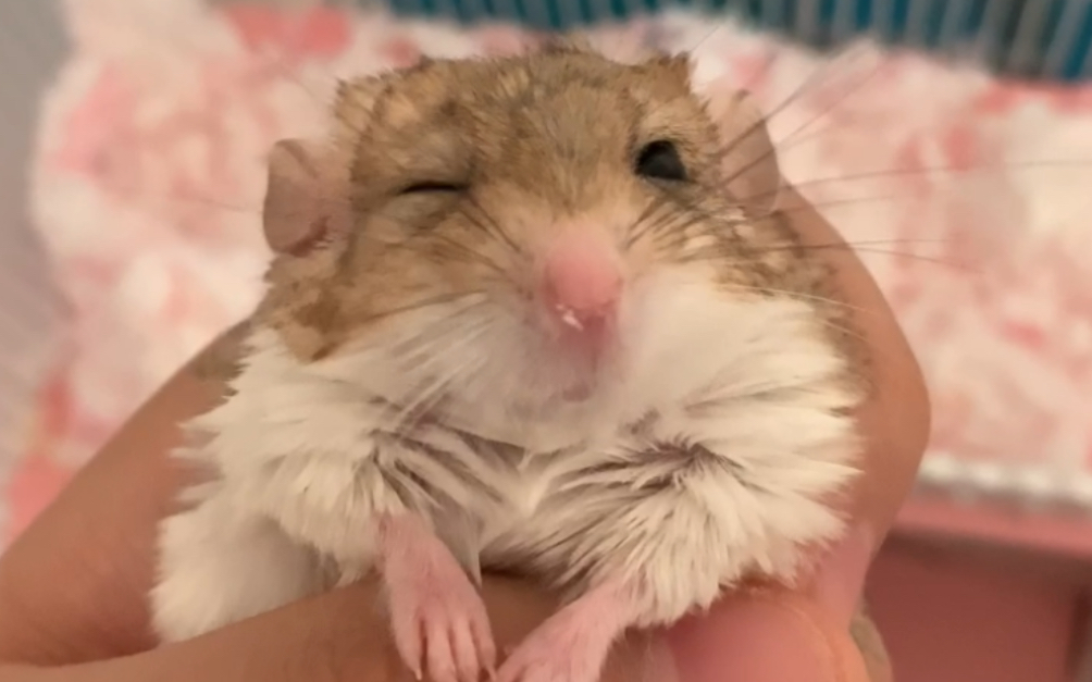 wink!小通向我wink啦!