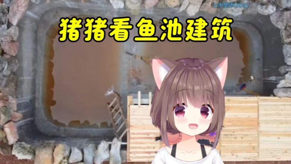 猪猪看鱼池建造,已经被带入坑了,完全沉迷了!哔哩哔哩bilibili