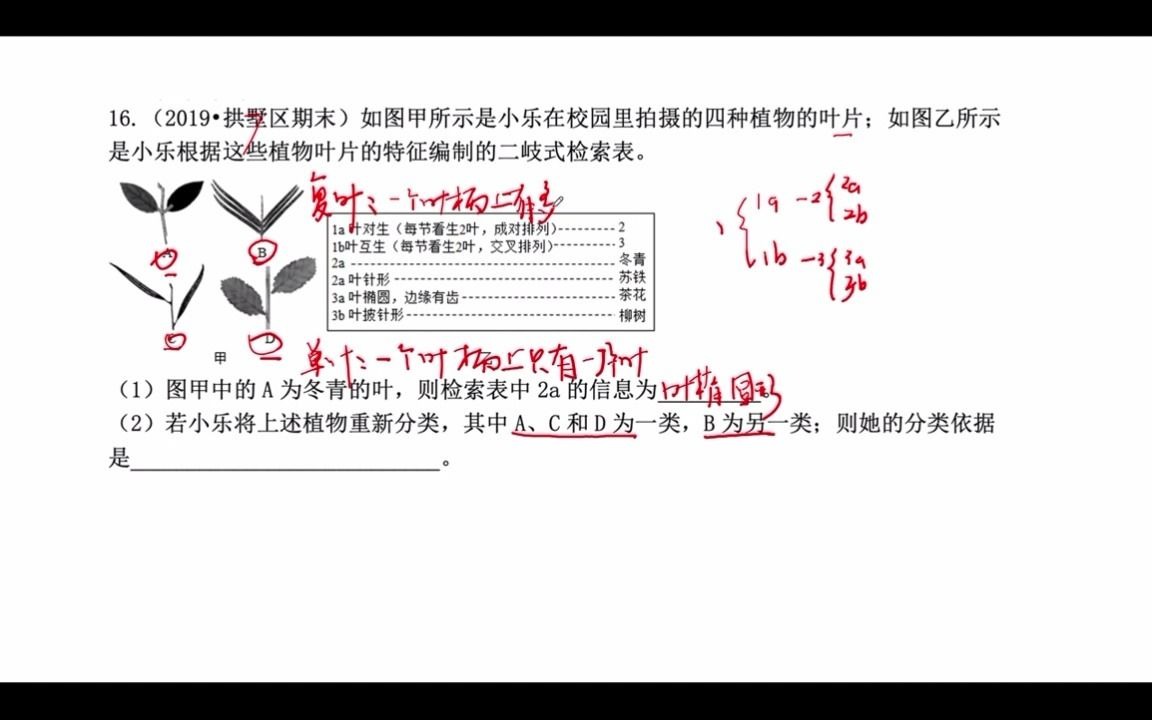 初中科学七年级 第5讲 16 二歧分类检索表的分析方法哔哩哔哩bilibili