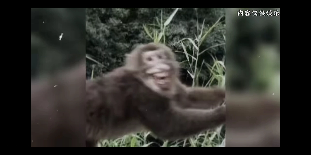 我实话实说了 我要龙图表情包