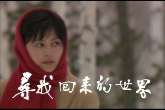 [图]80年代中国电视剧的瑰宝《寻找回来的世界》(1985) 第一、二集/精彩片段