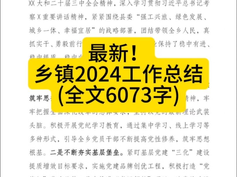 乡镇2024工作总结(全文6073字)哔哩哔哩bilibili