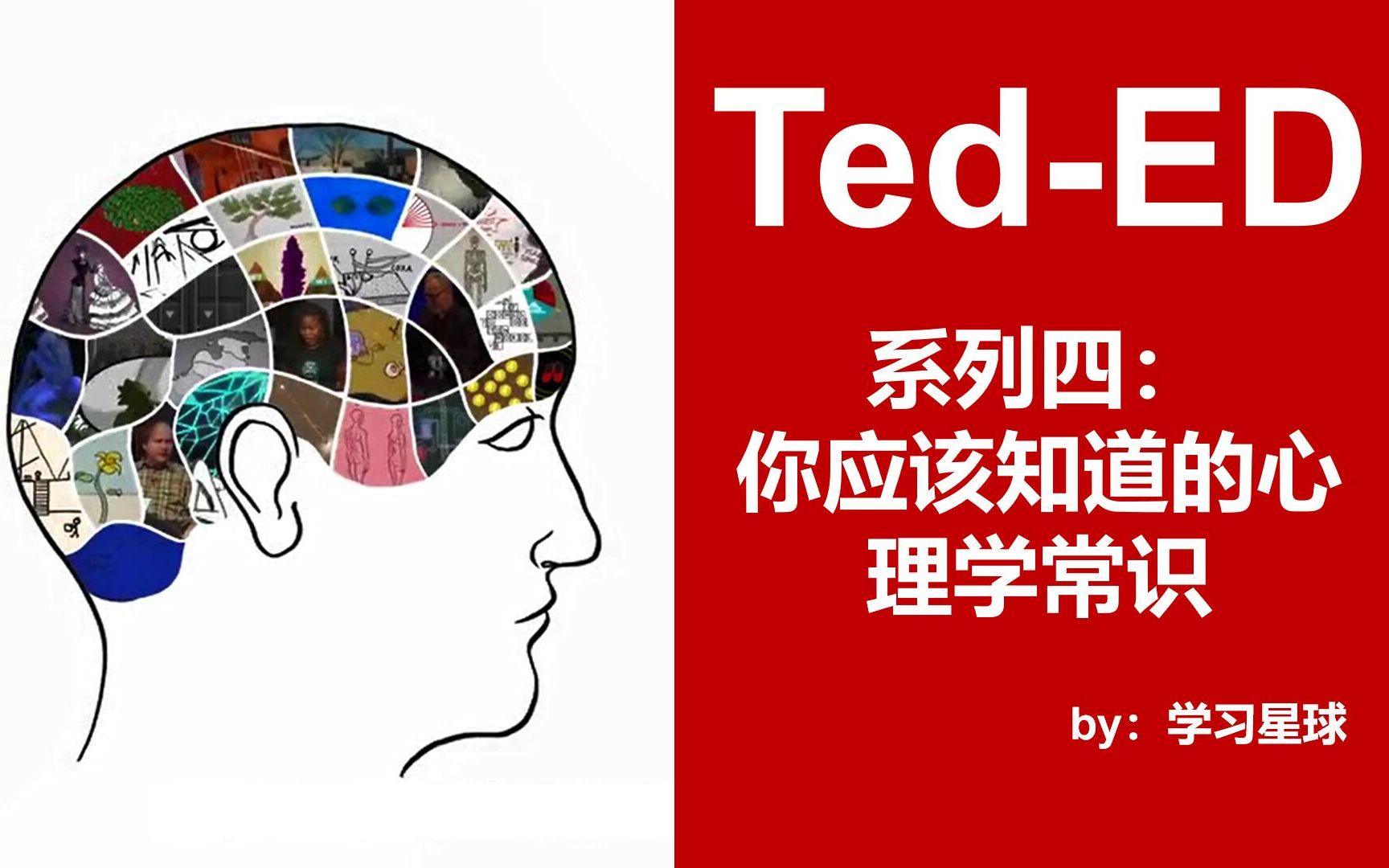 【TedED】超详细分类! 练习英语听力口语的绝佳资料!哔哩哔哩bilibili