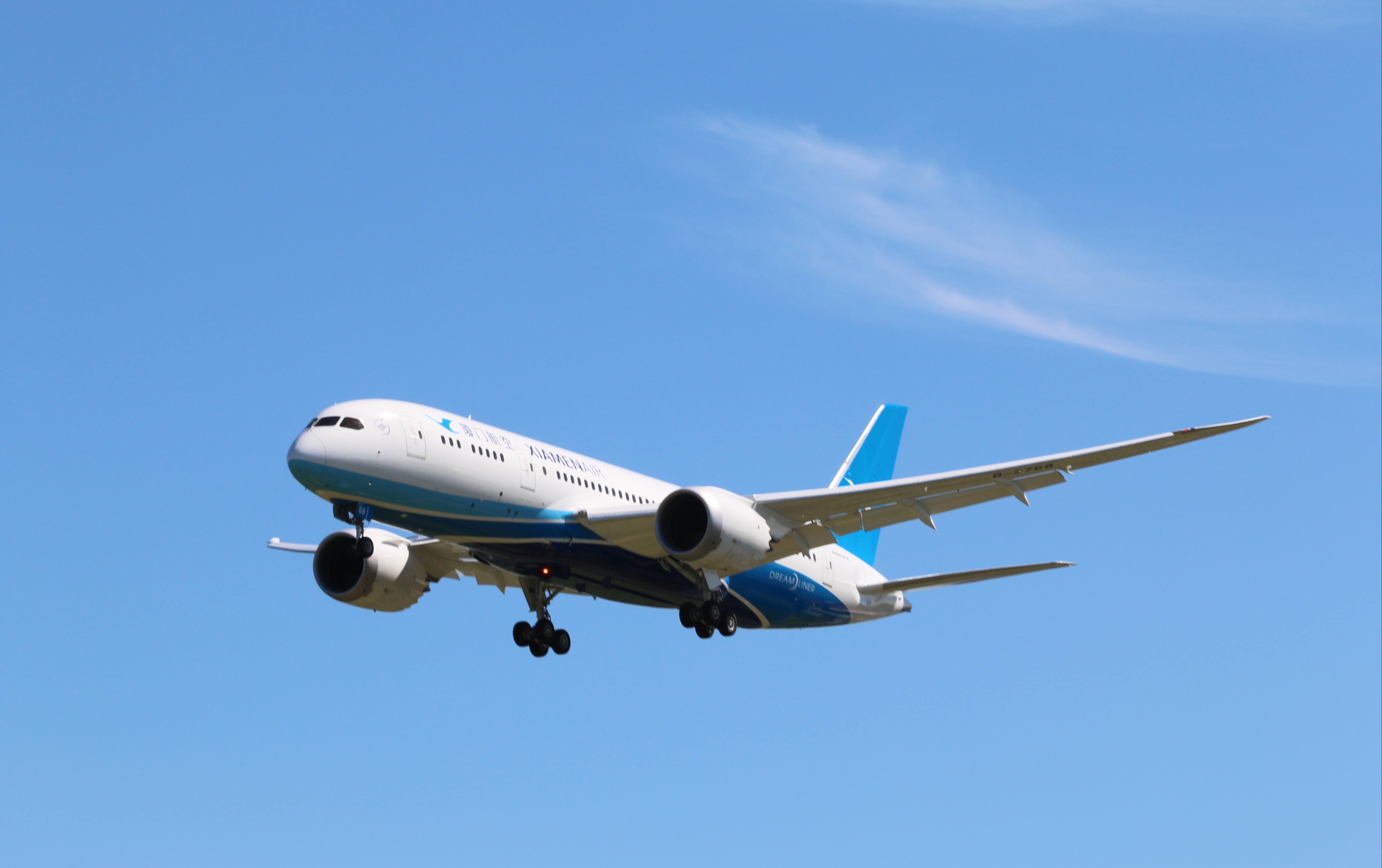 5] quality wings qw787 厦门航空787-8雪中落地北京大兴国际机场17右