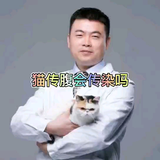 猫传腹虽然不传染但也要隔离哔哩哔哩bilibili