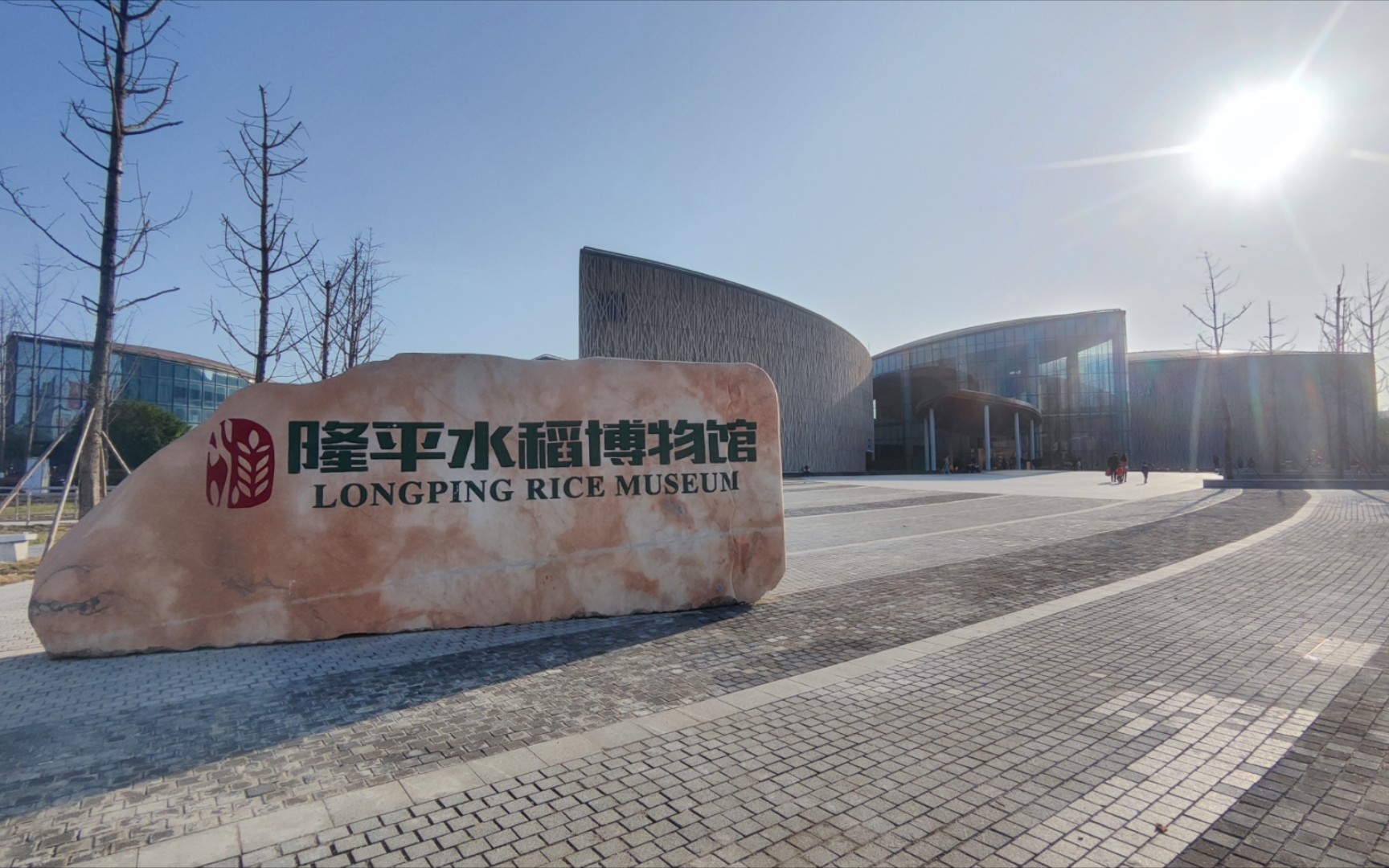 隆平水稻博物馆.长沙三日游学的最后一站,留下了深刻的印象.