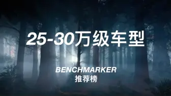 Tải video: 25-30万值得购买的轿车+SUV合集 | BENCHMARKER推荐榜·第四季