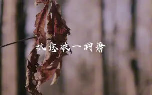 Download Video: 《秋意浓》的洞箫吹，感情到位了