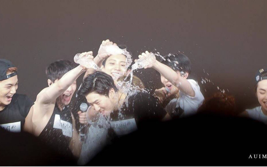 【金茶蛋】【exo】【张艺兴】兴兴的all向