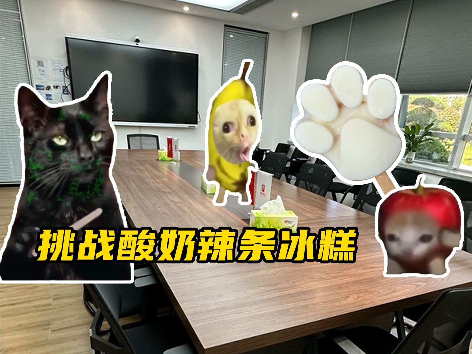 猫meme 今天挑战制作酸奶辣条冰糕,你还真别说...哔哩哔哩bilibili