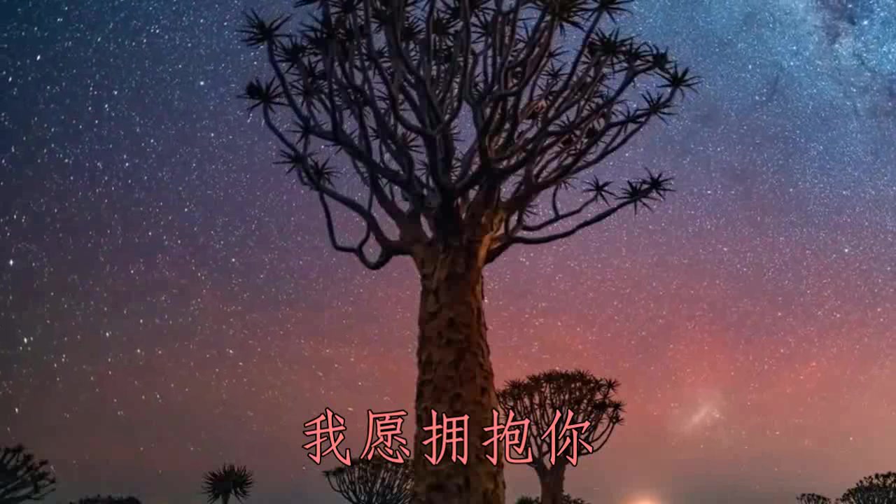 [图]青春的泪，一首《夜照亮了夜》你给不了未来，我来告别