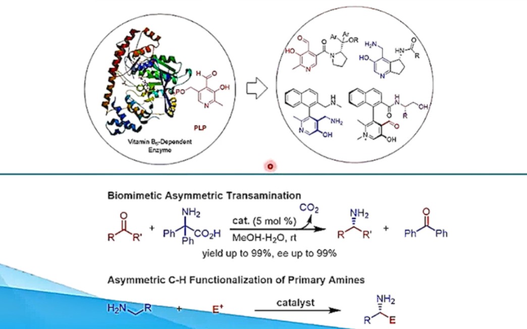 【讲座回放】赵宝国教授 报告题目:基于维生素B6的仿生不对称催化哔哩哔哩bilibili