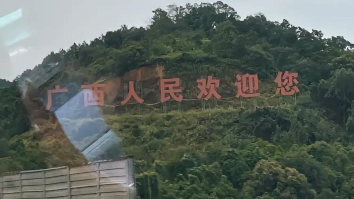 主打一个听劝！“广西欢迎您”标语被树遮挡，网友喊话当地文旅仅隔一天就被清理，听见游客心声才是最打动人的文旅宣传（来源：河南都市频道）