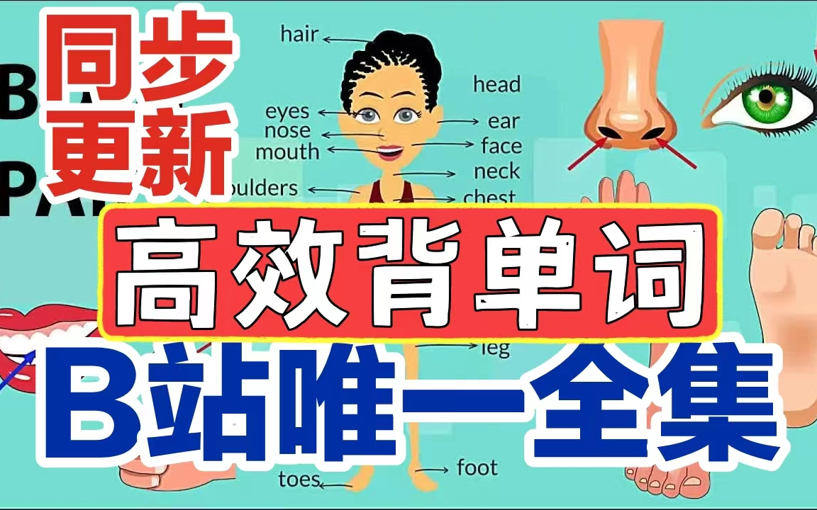 [图]【88集全】YouTube超火的 【沉浸式场景记单词】 高效背单词Easy English 英语单词速记 英语词汇积累