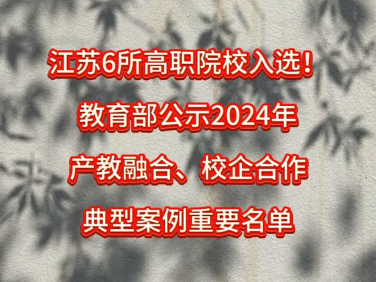 江苏6所高职院校入选!教育部公示2024年产教融合、校企合作典型案例重要名单哔哩哔哩bilibili