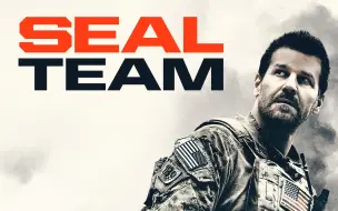 下载视频: 【反劫机入门级教科书】—《海豹突击队》（Seal Team）S02E11战术暨武器解析（下）