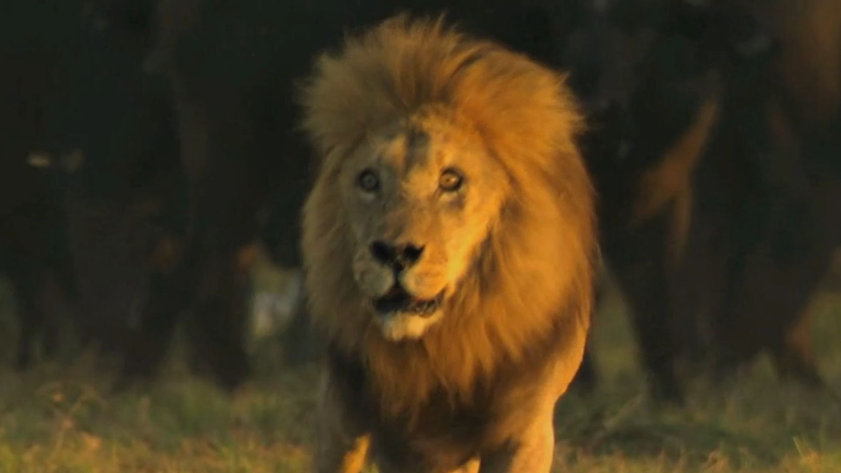 2月24日银泰杜梅拉11