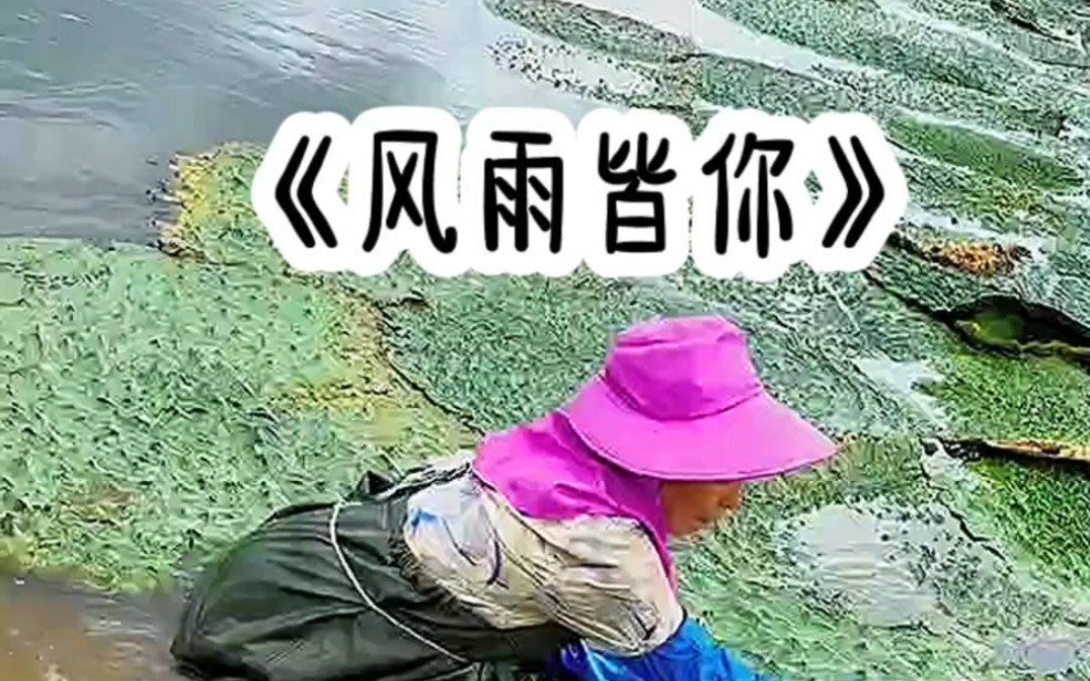 [图]风雨皆你