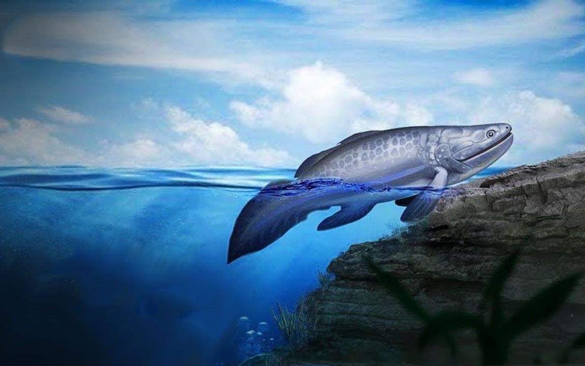 科学探秘,生物是如何从海洋进化到陆地上的?