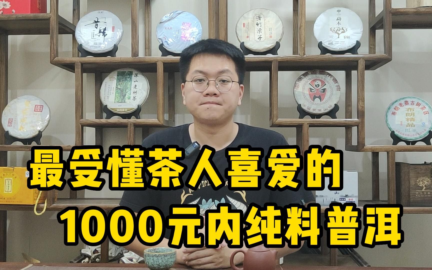 最受懂茶人喜爱的,1000元以内,纯料普洱茶推荐!哔哩哔哩bilibili