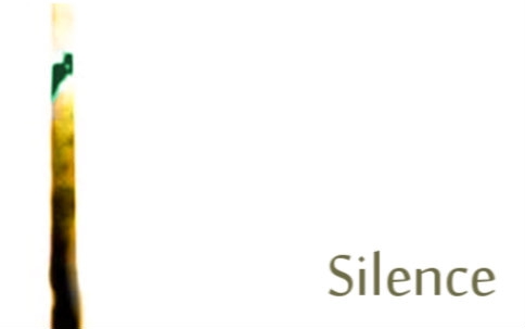 [图]【金坷垃】Silence