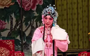 Descargar video: 锁麟囊 选妆 四平调 怕流水年华春去渺精彩唱段