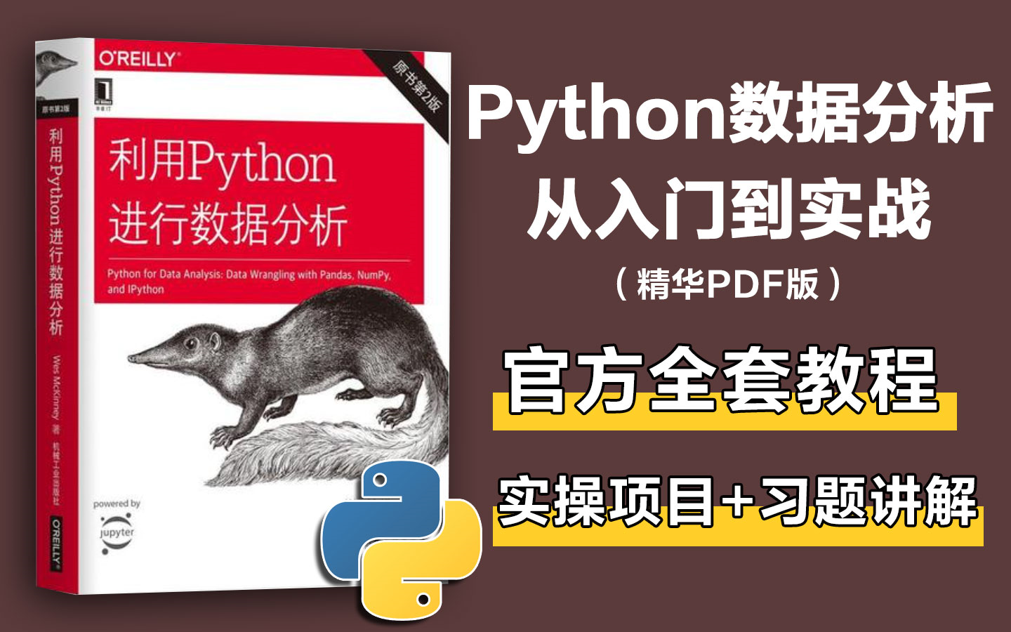 [图]【比刷剧还爽】Python数据分析从入门到精通天花板教程，零基础Python小白少踩99%的坑，24小时刷完直接面试上岗！（基础+实操项目+面试题讲解）