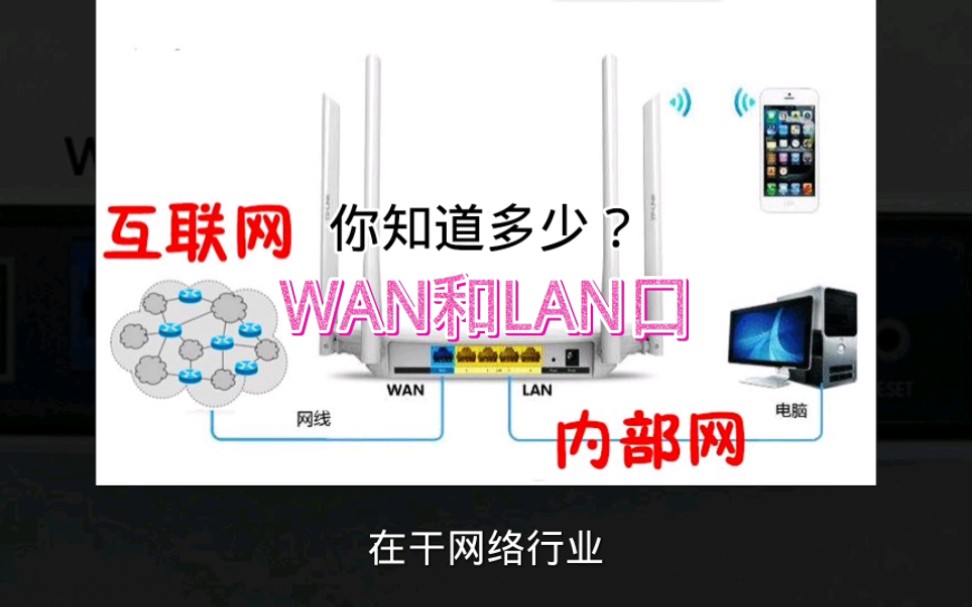 路由器lan口和wan口有什么区别哔哩哔哩bilibili