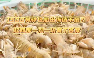 Download Video: 花1500黄骅港出海打渔看日出，轻松实现海鲜自由！