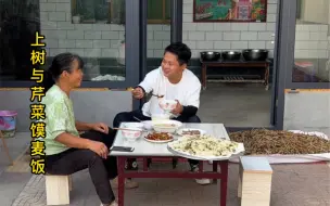 Скачать видео: 陕西农村生活与美食，妈妈说：只要勤快，动弹着，别人有的咱也会有，不攀比，别人有好的，咱有差不多的就行，一步一个脚印踏踏实实的过日子，知足常乐。