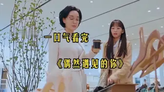 Tải video: 一口气看完一部剧《偶然遇见的你》