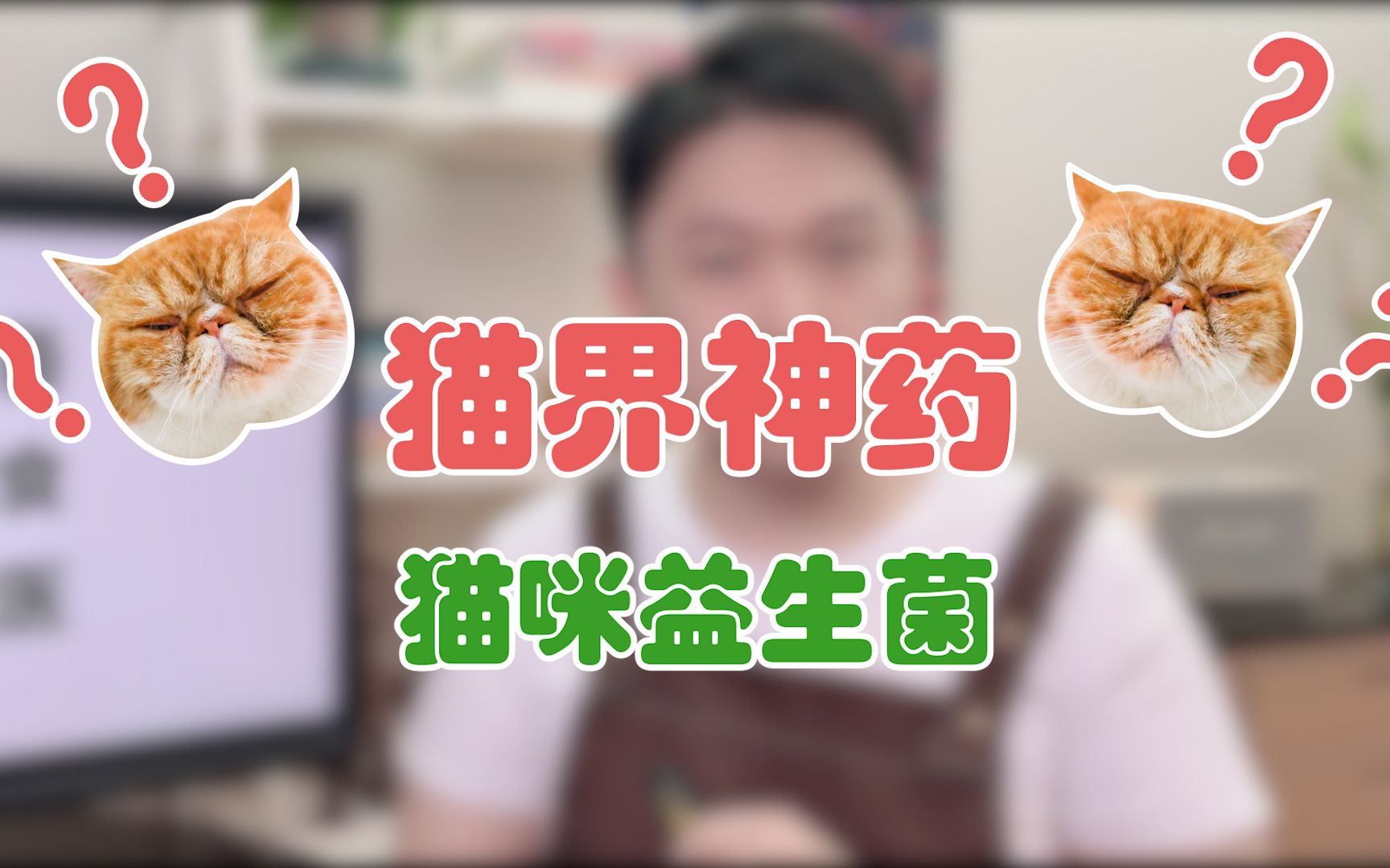 猫益生菌究竟算不算智商税?哔哩哔哩bilibili