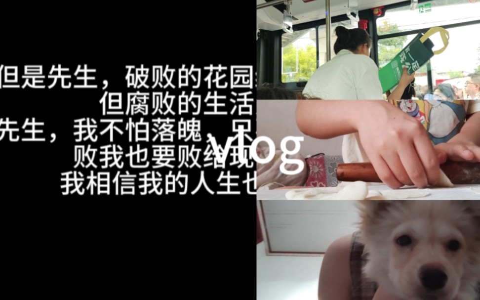 [图]vlog：破败的花园也可以开出灿烂的花朵