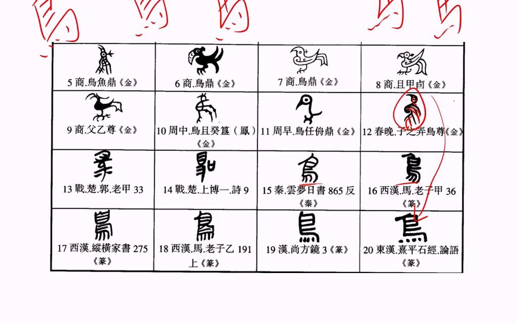 【国学新知】葛亮精读《说文解字》之“鸟”(第202期)哔哩哔哩bilibili