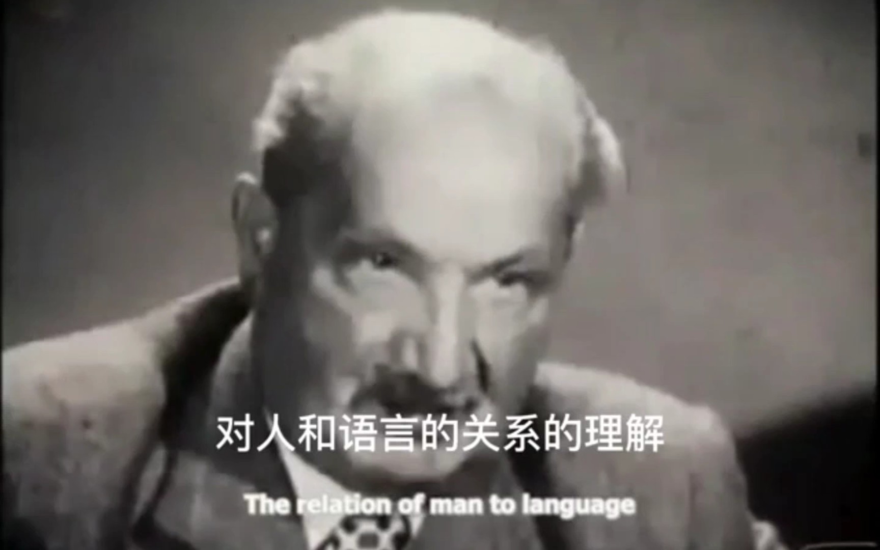 【中英字幕】海德格尔论语言和诗｜Heidegger on Language and Poetry_哔哩哔哩_bilibili