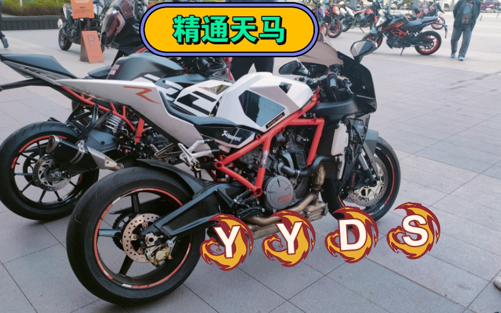 The 精通天马KTM250 S山D东R人 of The Rising Sun哔哩哔哩bilibili