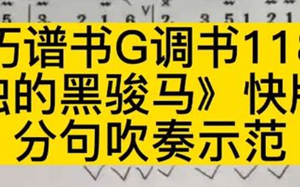 [图]技巧谱书G调书118页《孤独的黑骏马》快版部分分句吹奏示范