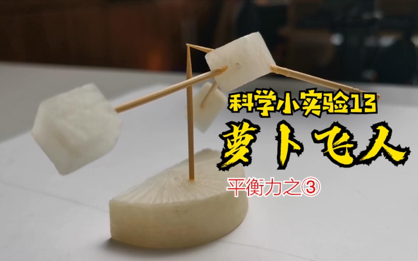 科学小实验:饭桌上能做的实验,平衡力之萝卜飞人