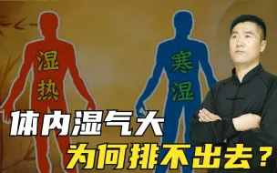 Descargar video: 体内有湿气，如何判断是湿热还是寒湿？如何排湿气？