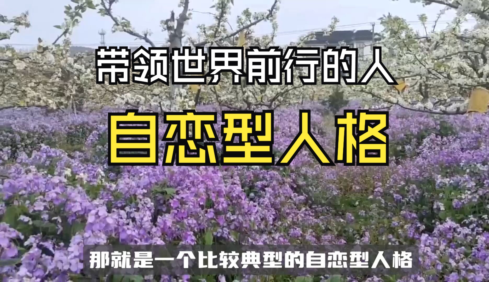 如果没有自恋型人格,世界会放慢发展的脚步——一个视频带你全面了解