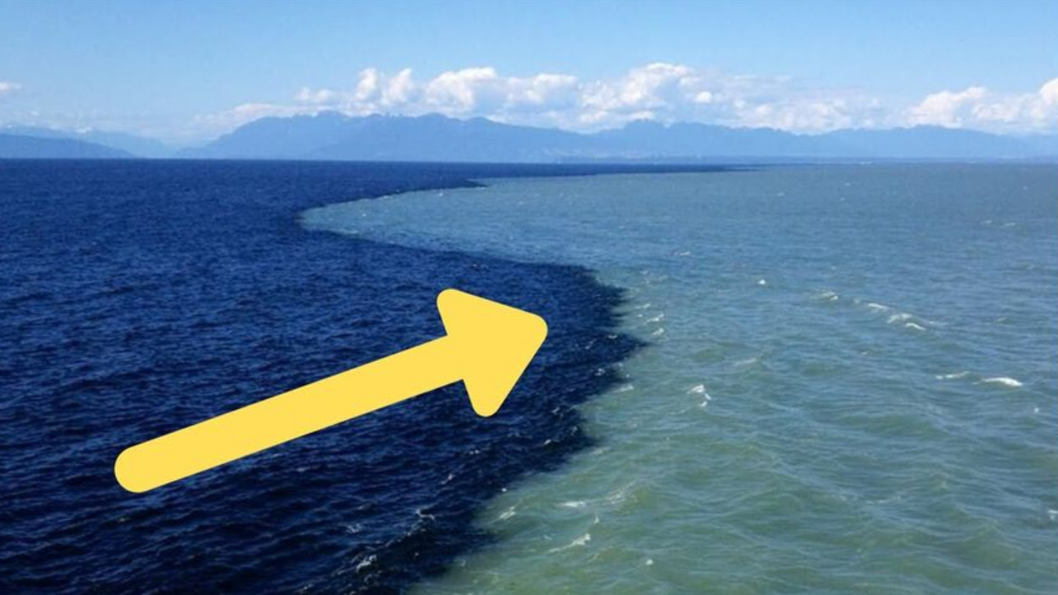 同样是大海,为什么大西洋与太平洋的海水不能相融?